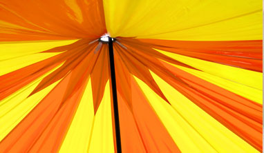 umbrella