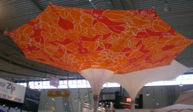 umbrella
